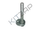 ���� ����-���������� ������ �������� � ���������� (10��)
