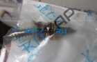 ����� 