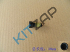 ���� �������� 