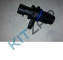 ������ ��������� �����������