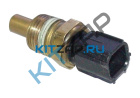 ������ �����������  